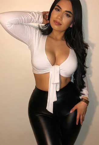 VIP Call Girls in Noida